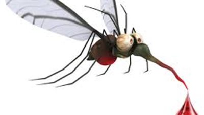 13 نصيحة للوقاية من الأمراض التي ينقلها البعوض