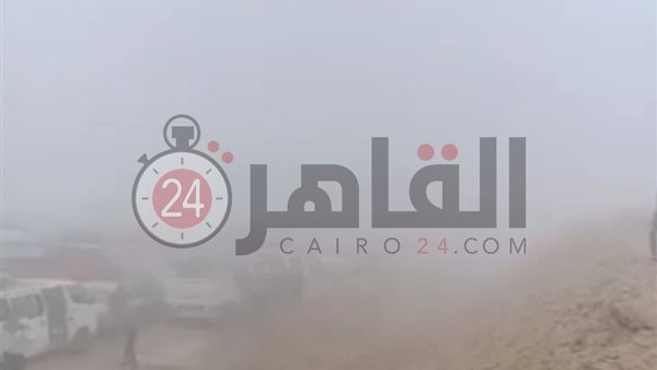 القاهرة 24
