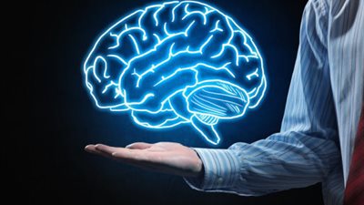 5 أطعمة شتوية تحسن من صحة الدماغ وتقلل من مخاطر الإصابة بالاضطرابات