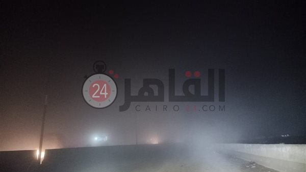 القاهرة 24