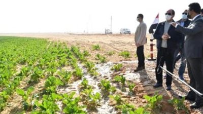 السيسي يتفقد مشروع مستقبل مصر للإنتاج الزراعي على طريق محور الضبعة (صور)