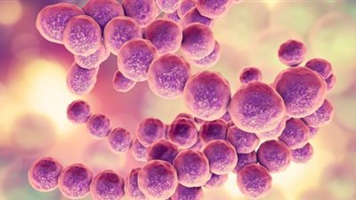 بكتيريا الأمعاء تساعد في علاج مرضى السكر من النوع 2 (دراسة)