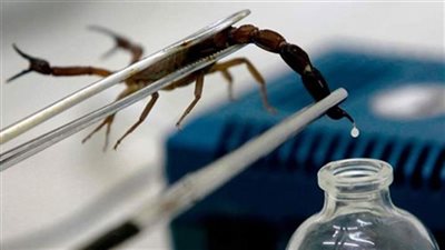 خلال جولة مفاجئة.. محافظ الأقصر يوجه بتوفير مصل العقرب في إسنا بعد شكاوى المواطنين (صور)