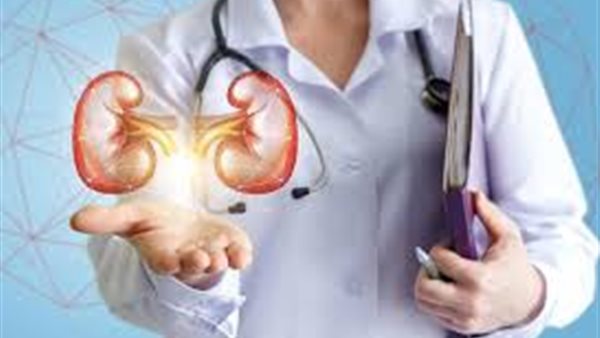 الكلى - تعبيرية