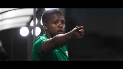 الجنوب إفريقيه 