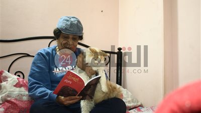 مواطن ينفق 3 آلاف جنيه من معاشه الشهري على إطعام القطط وينهي عمل خادمته لأنها أغضبت قطة (فيديو)