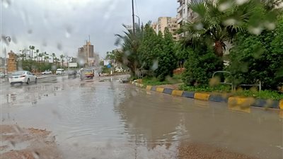 أمطار غزيرة بوسط الإسكندرية مع بدء 