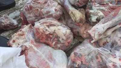 ضبط 4 أطنان لحوم ودهون فاسدة بالقاهرة (فيديو)