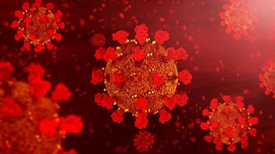 كفر الشيخ تُسجل 20 حالة إصابة جديدة بفيروس كورونا