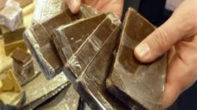 ضبط 5 فرد خرطوش بحوزة عنصرين إجراميين بالبحيرة