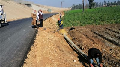 القليوبية.. سقوط عمود كهرباء بطريق قها-طنان دون خسائر بشرية (صور) 