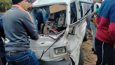 مصرع سيدة في سقوط شجرة على 