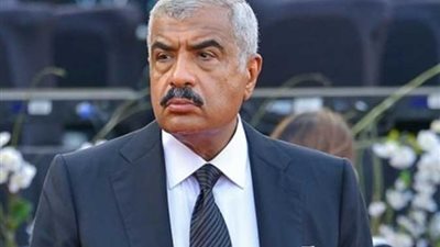 هشام طلعت مصطفى: 