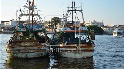 استمرار غلق بوغاز عزبة البرج أمام حركة الصيد بسبب نوة الفيضة الكبرى 