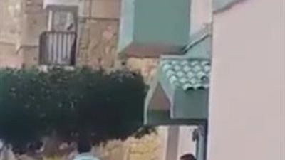 تعدت على موظف من ذوي الإعاقة.. حقيقة فيديو إساءة رئيس حي ثالث بالإسماعيلية لمواطنة: 