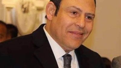 النائب رياض عبد الستار: الاعتذار عن سوء الفهم ولا أقصد الكلام المطلق لكل الفنانين