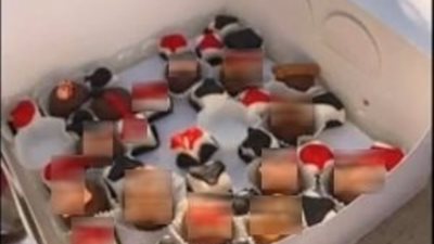 أول بلاغ ضد تورتة الأعضاء التناسلية