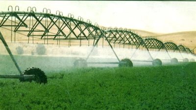 الحكومة توضح حقيقة السماح للشركات الاستثمارية بمشروع الـ