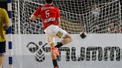 بطولة العالم لليد.. الدنمارك يحقق العلامة الكاملة ويسحق الأرجنتين 31 / 21