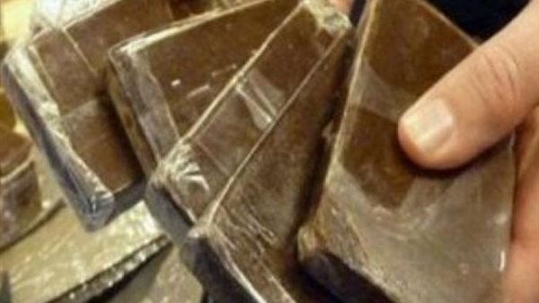 مخدر الحشيش _ أرشيفية