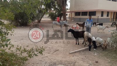 الإهمال يحاصر الوحدة الصحية بقرية بيت داود بسوهاج.. والأهالي: أصبحت مأوى للحيوانات (فيديو وصور)