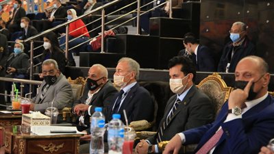وزير الرياضة يشهد مباراة مصر وروسيا ببطولة العالم لليد