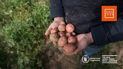 بنك الإسكندرية يتعاون مع برنامج الأغذية العالمي لتحسين الظروف المعيشية للمزارعين بصعيد مصر