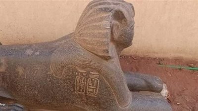 إحباط محاولة بيع تمثال أثري ضخم في أبو صوير بالإسماعيلية 