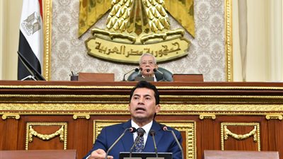 حازم إمام يطالب وزير الشباب بمتابعة جيدة للملاعب 