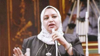 سولاف درويش تكشف جدول أعمال لجنة القوى العاملة تحت قبة البرلمان