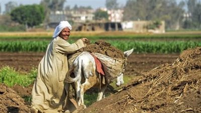 النائب عبد الحميد دمرداش يتقدم بأول تشريع لإنشاء صندوق لدعم المزارع المصري 