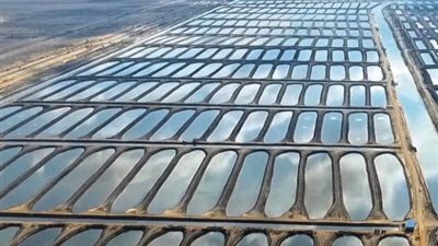 يوفر 10 آلاف فرصة عمل.. أبرز المعلومات عن مشروع الفيروز للاستزراع السمكي قبل افتتاحه