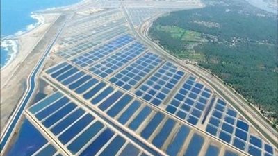 بعد افتتاحه اليوم.. تعرف على تفاصيل مشروع الاستزراع السمكي في بورسعيد 