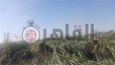 السيطرة على حريق التهم 3 قراريط قصب في سوهاج دون إصابات بشرية