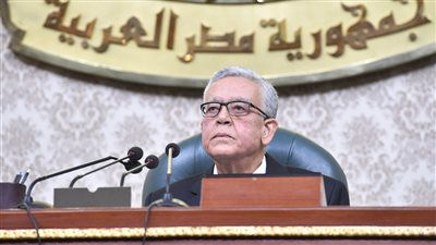 بعد قليل.. مواجهة منتظرة بين نواب البرلمان ووزيري الزراعة والري