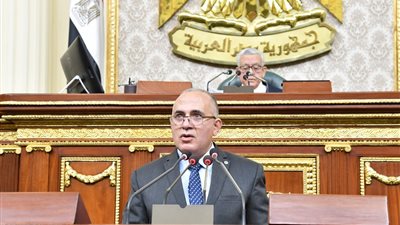 بقيمة 250 مليار جنيه في 5 سنوات.. وزير الري يكشف من البرلمان المشروعات المستقبلية 
