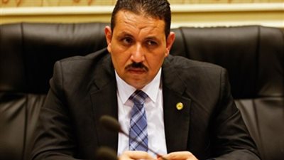 برلماني بالغربية يطالب مجلس الوزراء بحل مشكلات الفلاح المصري والرقابة على الأسمدة