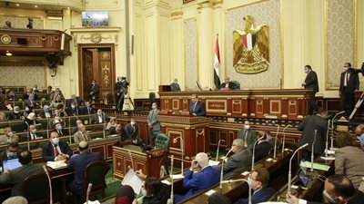 برلمانية تطالب بالتنسيق مع الوزارات لتسهيل نقل العمال المتوفين بالخارج لمحل سكنهم 