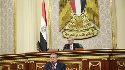 وزير القوى العاملة: توفير فرص عمل للأجانب في مصر رغبة المستثمرين