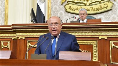 وزير الخارجية: تحركاتنا مثلت نقطة تحول فارقة في مسار الأزمة الليبية 