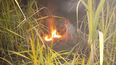 حريق جديد في زراعات القصب بقنا (صور)