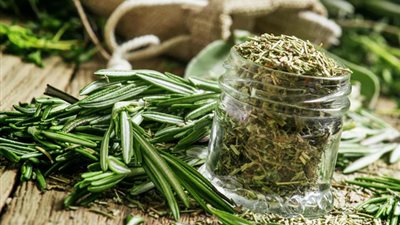 تعرف على فوائد وأضرار نبات الروزماري