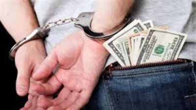 لاختلاس 2 مليون جنيه.. إحالة مسئول بمركز البحوث الزراعية للجنايات 