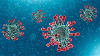 اختصاصي: خطة أوروبا للسيطرة على كورونا تدمر كل الجهود لمكافحة الفيروس (فيديو)