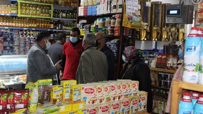 228 مخالفة لمخابز ومحال تموينية بالإسكندرية خلال حملة رقابة مكبرة