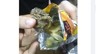 حشرة مقلية وبطاطس عفنة.. مستهلكون يشكون من إهمال 