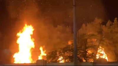 السيطرة على حريق بعدد من الأشجار  خلف سور شركة الغزل والنسيج بكفر الدوار (صور)