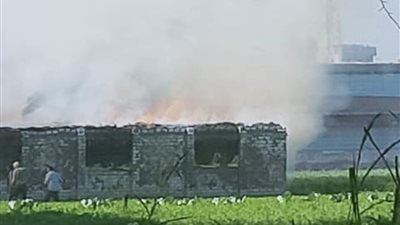 نفوق 12 ألف كتكوت في حريق مزرعة دواجن بالشرقية (صور)