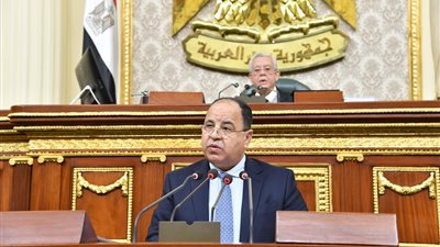 وزير المالية يكشف تفاصيل إجراءات الدولة للحماية الاجتماعية وإنهاء 