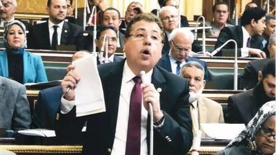 برلماني يدعو لتعظيم الإيرادات بالاسثمار بدلًا من الضرائب